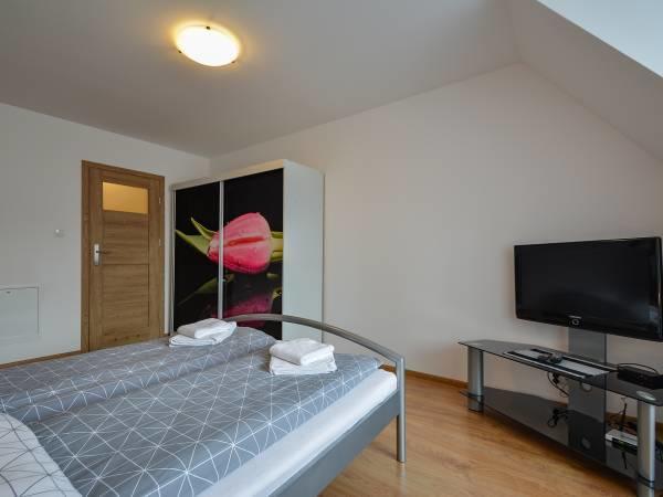 Apartamenty Interdom ザコパネ エクステリア 写真