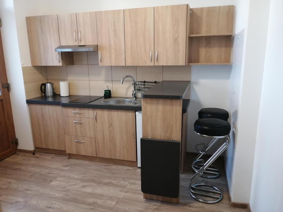 Apartamenty Interdom ザコパネ エクステリア 写真